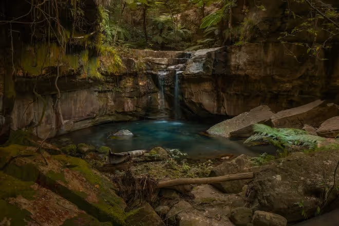 An oasis in Queensland’s Central Highlands