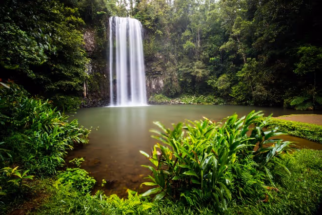Waterfalls and lofty rainforests await in Far North Queensland