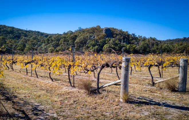 The heart of Queensland’s Granite Belt