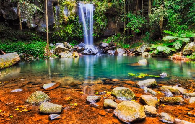 A quaint village in the rainforest awaits