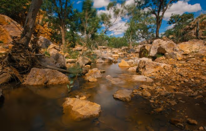 Discover an oasis in the desert