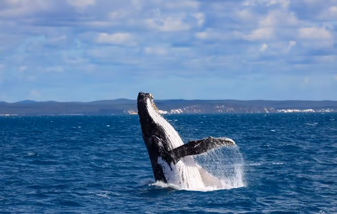 Nature’s playground awaits on the Fraser Coast