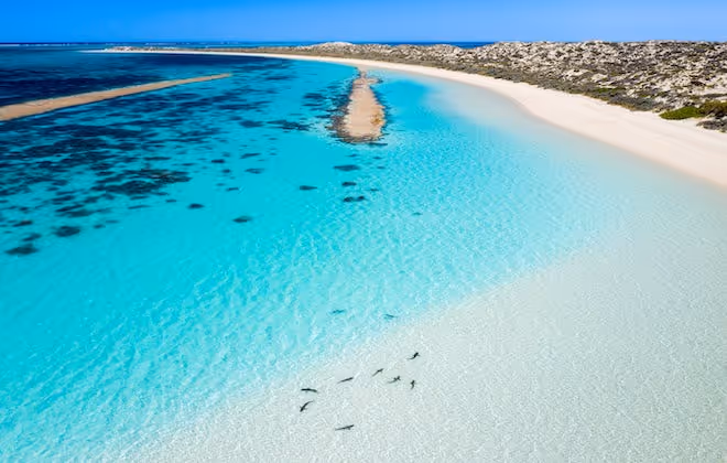 A pristine paradise for marine lovers