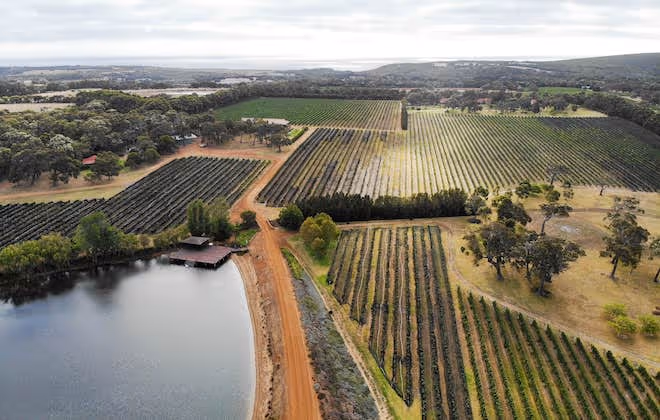 Raise your glass on a wine tour