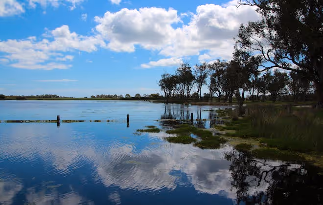 One of the rarest ecosystems on Earth