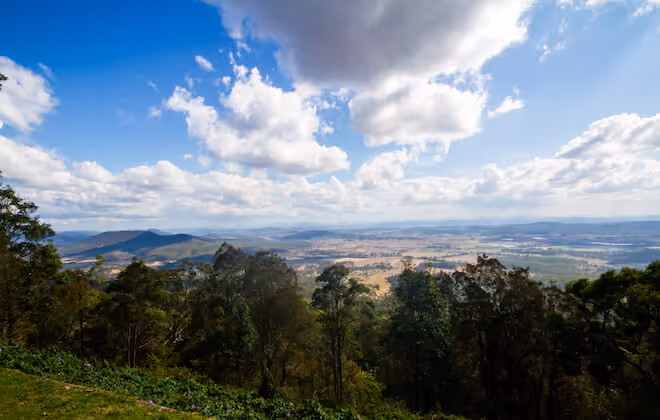 A quaint village in the rainforest awaits