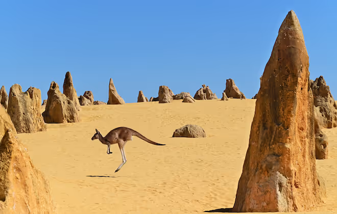 A unique and intriguing landscape