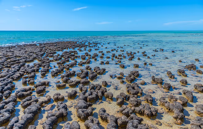 A World Heritage listed wonderland
