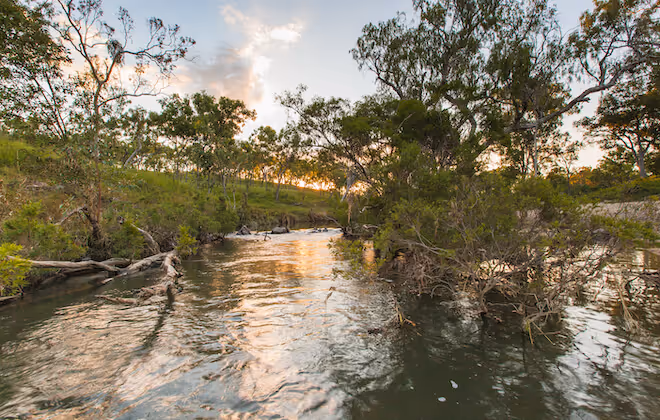Watch the world go by on the Balonne River