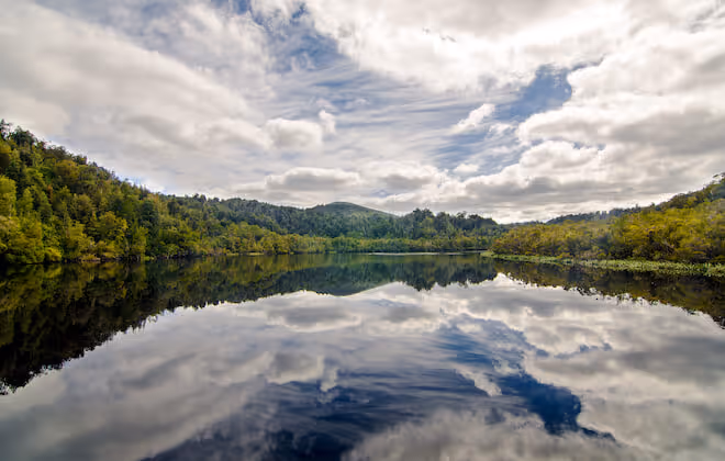 Cruising the World Heritage Gordon River wilderness