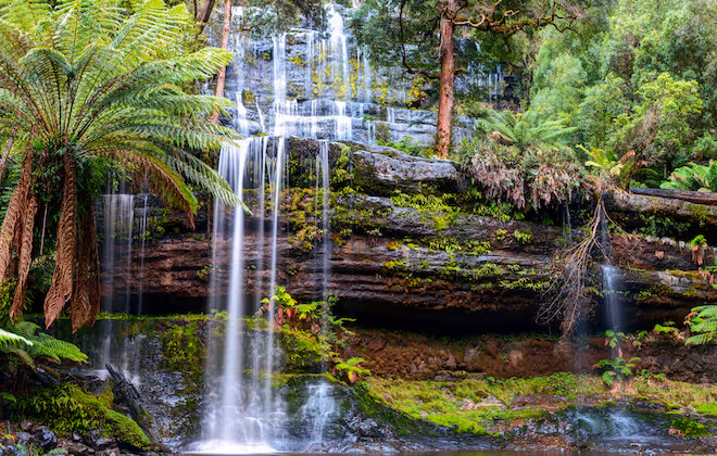 The most photographed waterfall in Tasmania