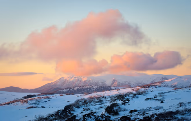 In the Magnificent Victorian Alps