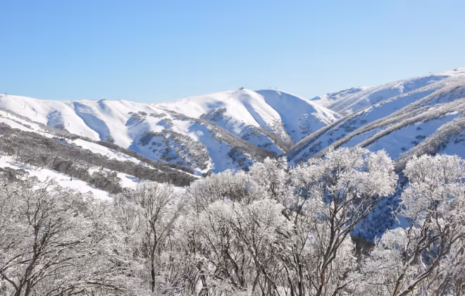Renowned as Australia’s ‘Powder Capital’