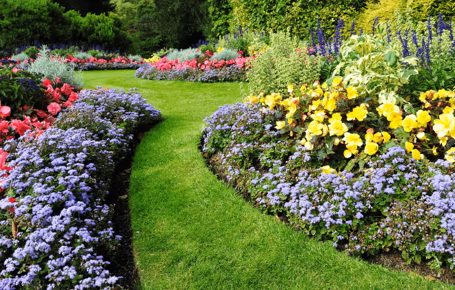 Featuring Australia’s Best Landscape and Floral Talent