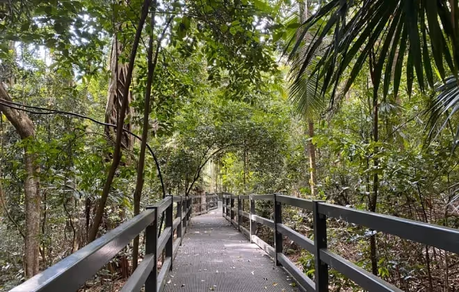 Where Pristine Beaches Meet Lush Rainforest