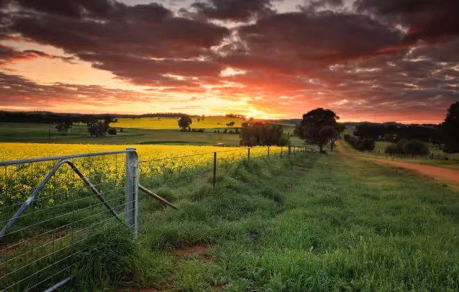 Famous for the WWII Cowra Breakout