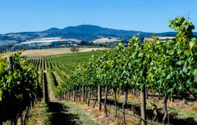 The Gateway to Country NSW