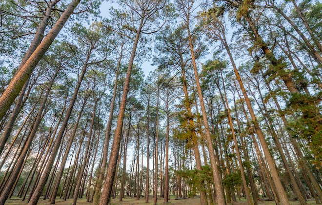 A beloved beachside holiday destination