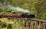 Puffy Billy Steam Train