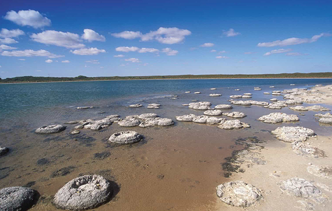 A small town that’s full of surprises