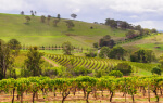 Hunter Valley
