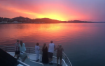 Moonshadow Cruises