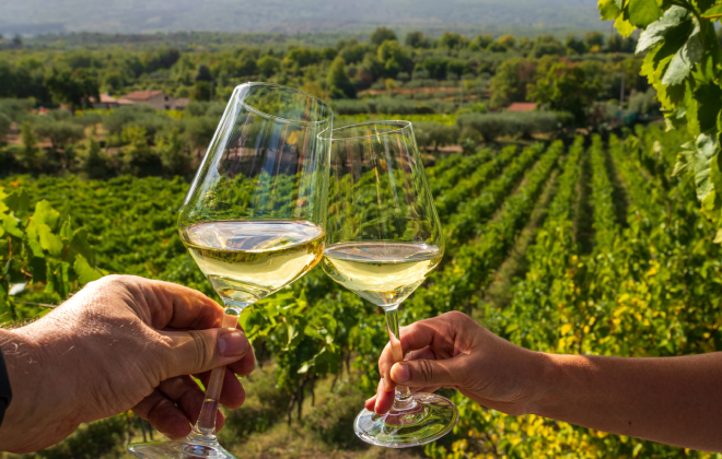 Two people clinking glasses of white wine overlooking lush vineyard rows at Gooree Park winery.