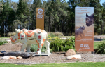 Dubbo Taronga Park Zoo