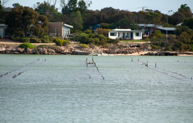 Explore pristine waters and fresh oysters