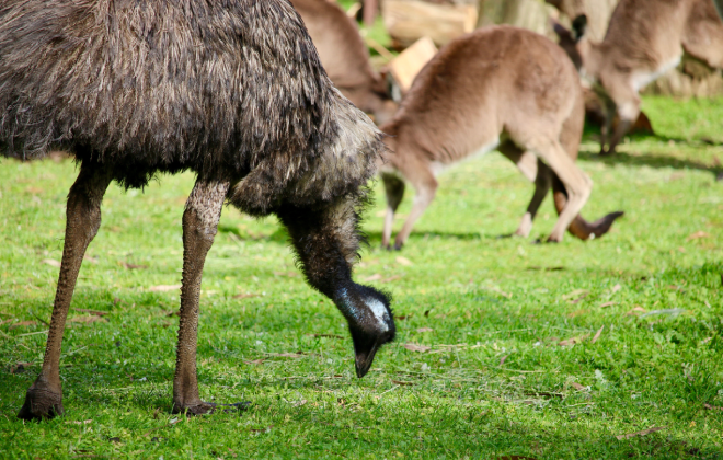 Conquer Adelaide’s highest peak