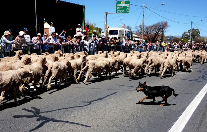 A colourful fusion of Irish cheer and country charm