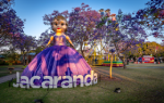 Grafton Jacaranda Festival