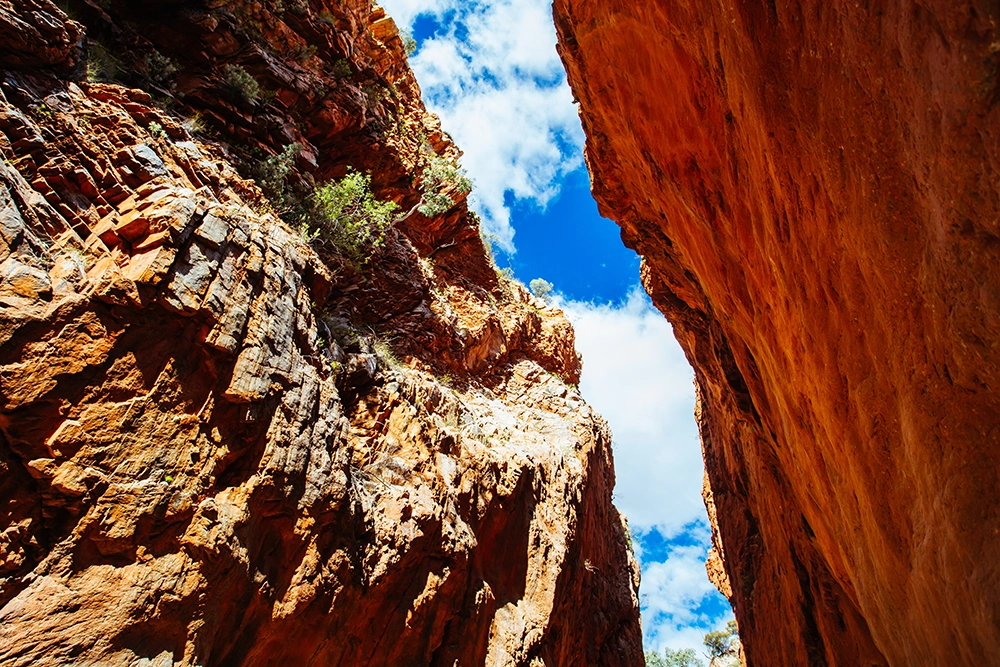 Towering red rock walls of the West MacDonnell Ranges rising against a bright blue sky.