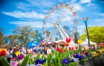 Canberra Floriade