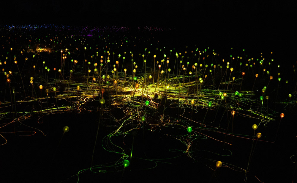 Close-up of the Field of Light at Uluru glowing green and gold against the dark desert night.