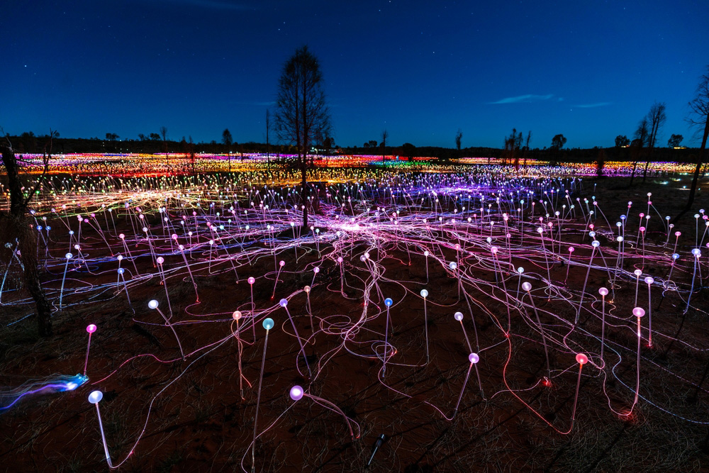 Field of Light at Uluru illuminating the desert with colourful glowing stems at night.