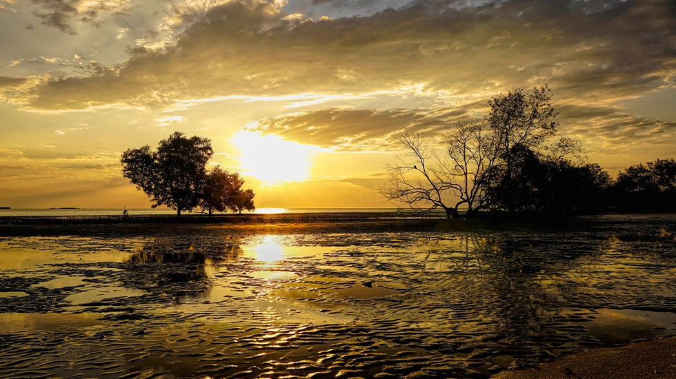 Sunset over tidal flats and trees in Karumba, Queensland, reflecting across the calm water.
