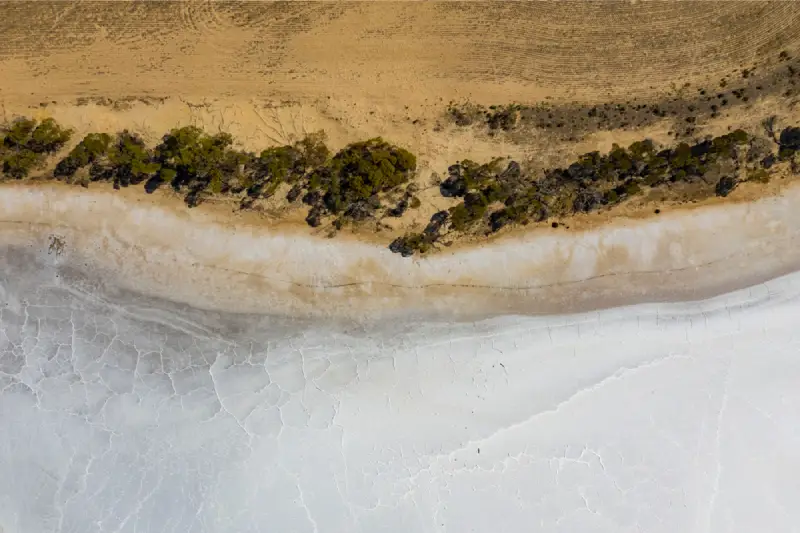 Aerial view of the shoreline and salt flats of Lake Eyre with desert vegetation in South Australia.