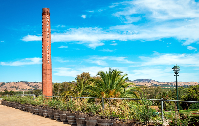 Barossa Valley vineyards near Tanunda