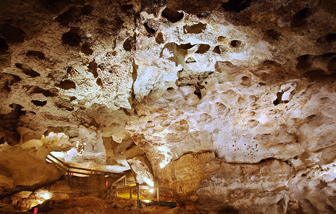 Explore South Australia’s ancient fossil caves