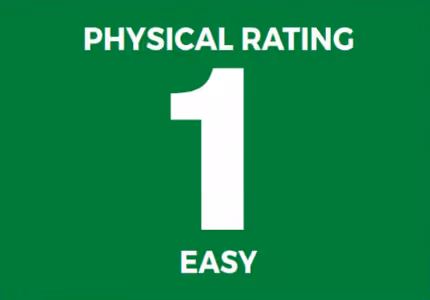 Physical Rating 1: Easy