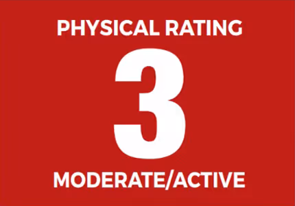 Physical Rating 3: Moderate/Active