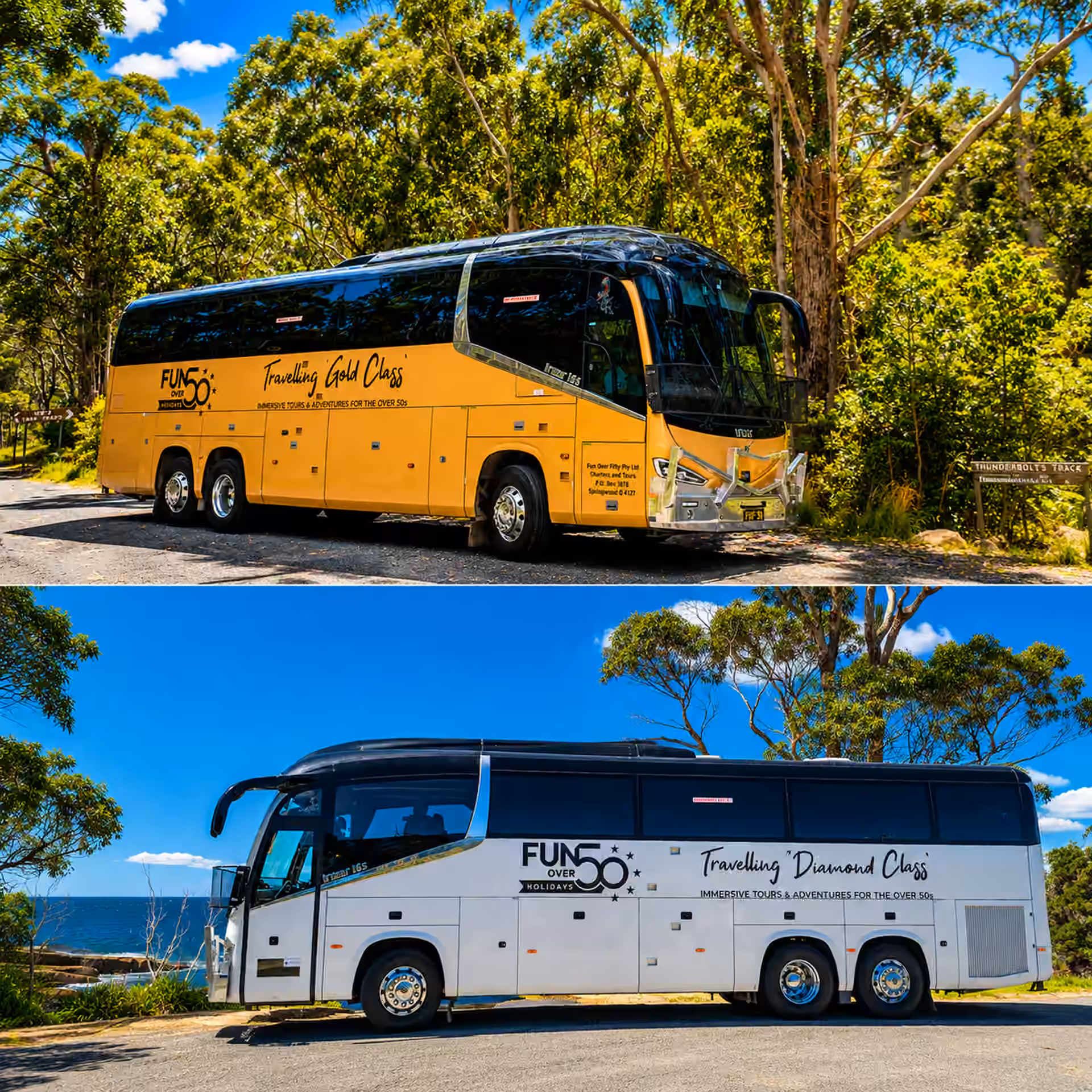 Two large tour buses parked outdoors, one yellow 'Gold Class' and one white 'Diamond Class' under trees.