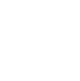 Trip Advisor Travellers' Choice Awards 2025 logo