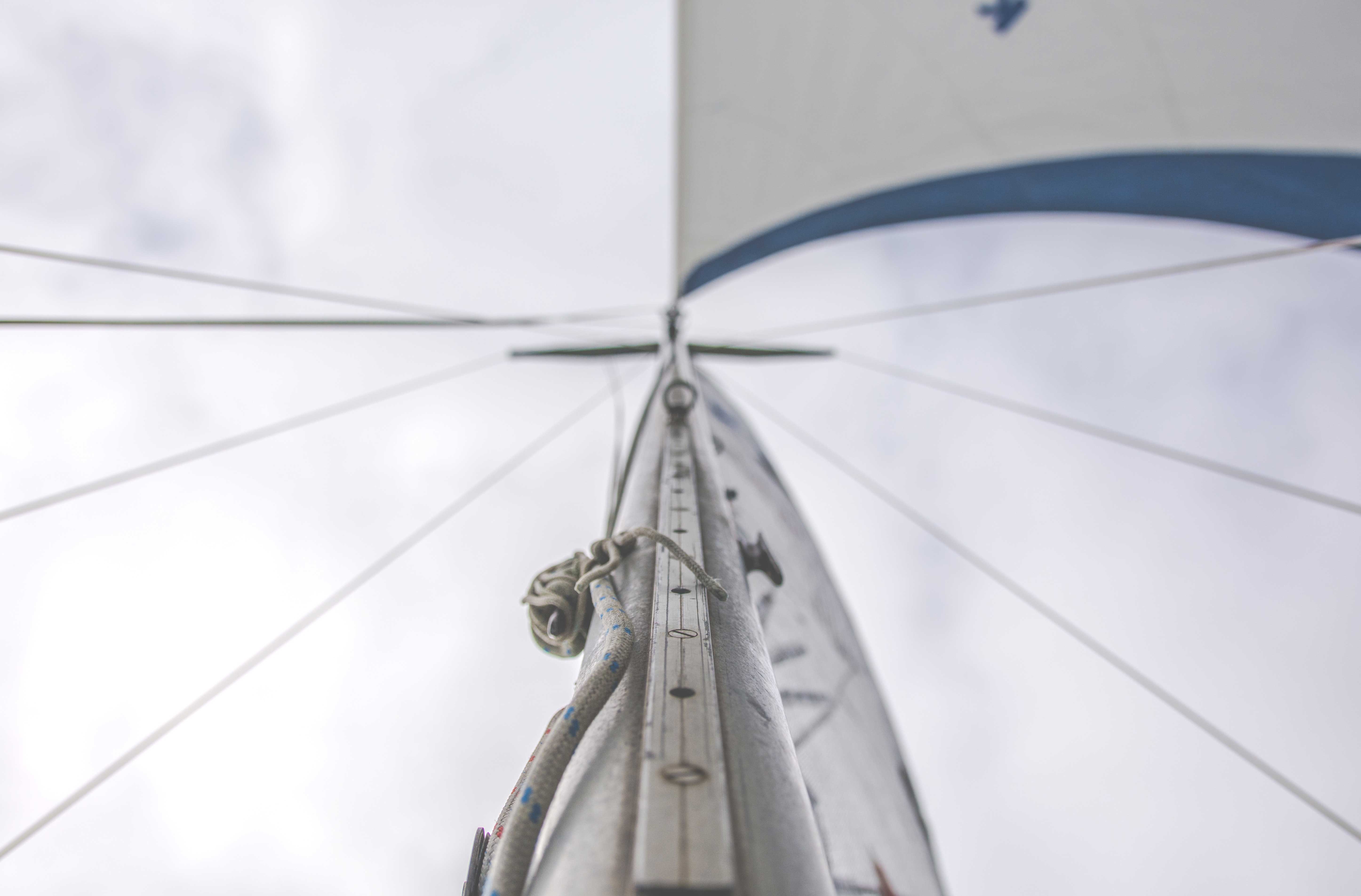 Under Sail: The Art and Mechanics of Boat Movement article featured image