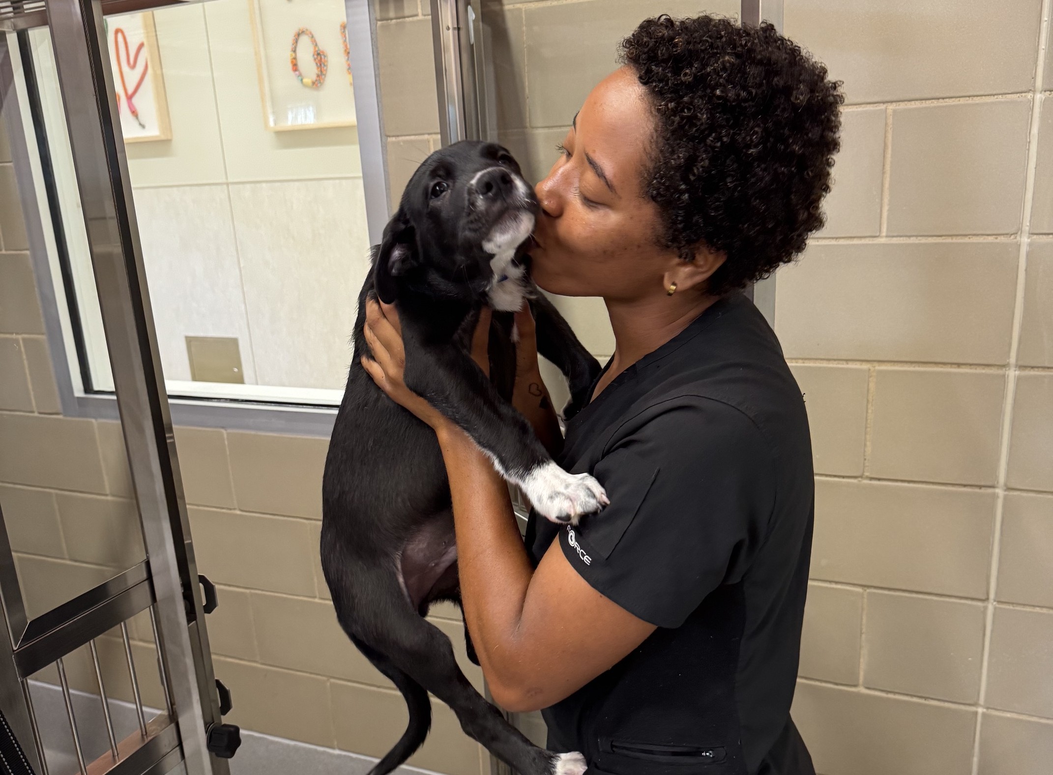 Homeless pets move into new Mansfield animal shelter