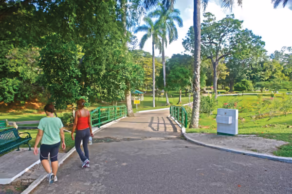 Photo: Botanical Gardens - Stephen Broadbridge