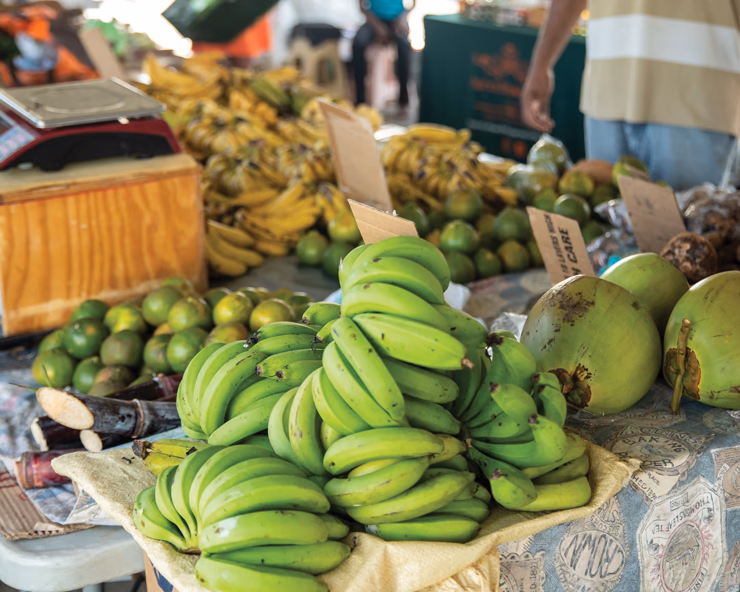 From Farm to Table 
