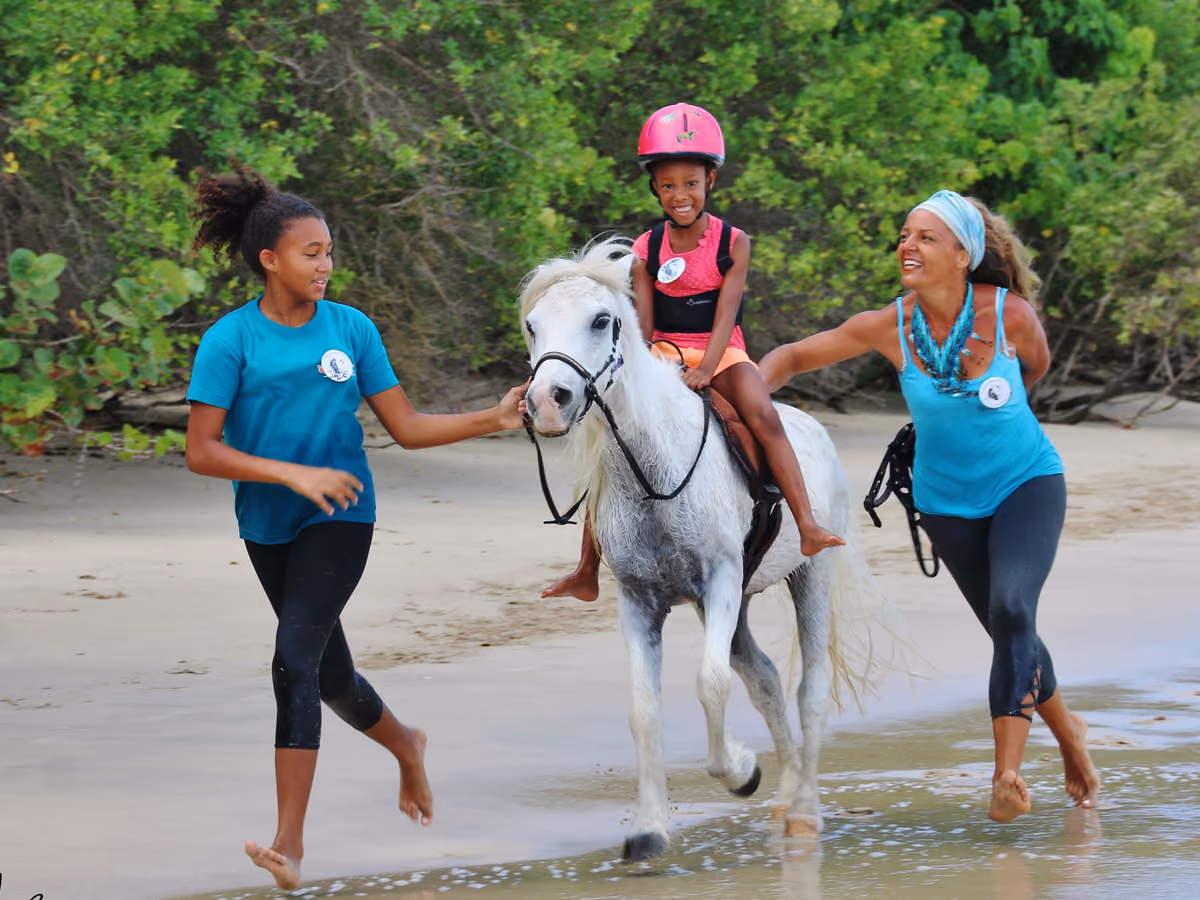 Healing With Horses.