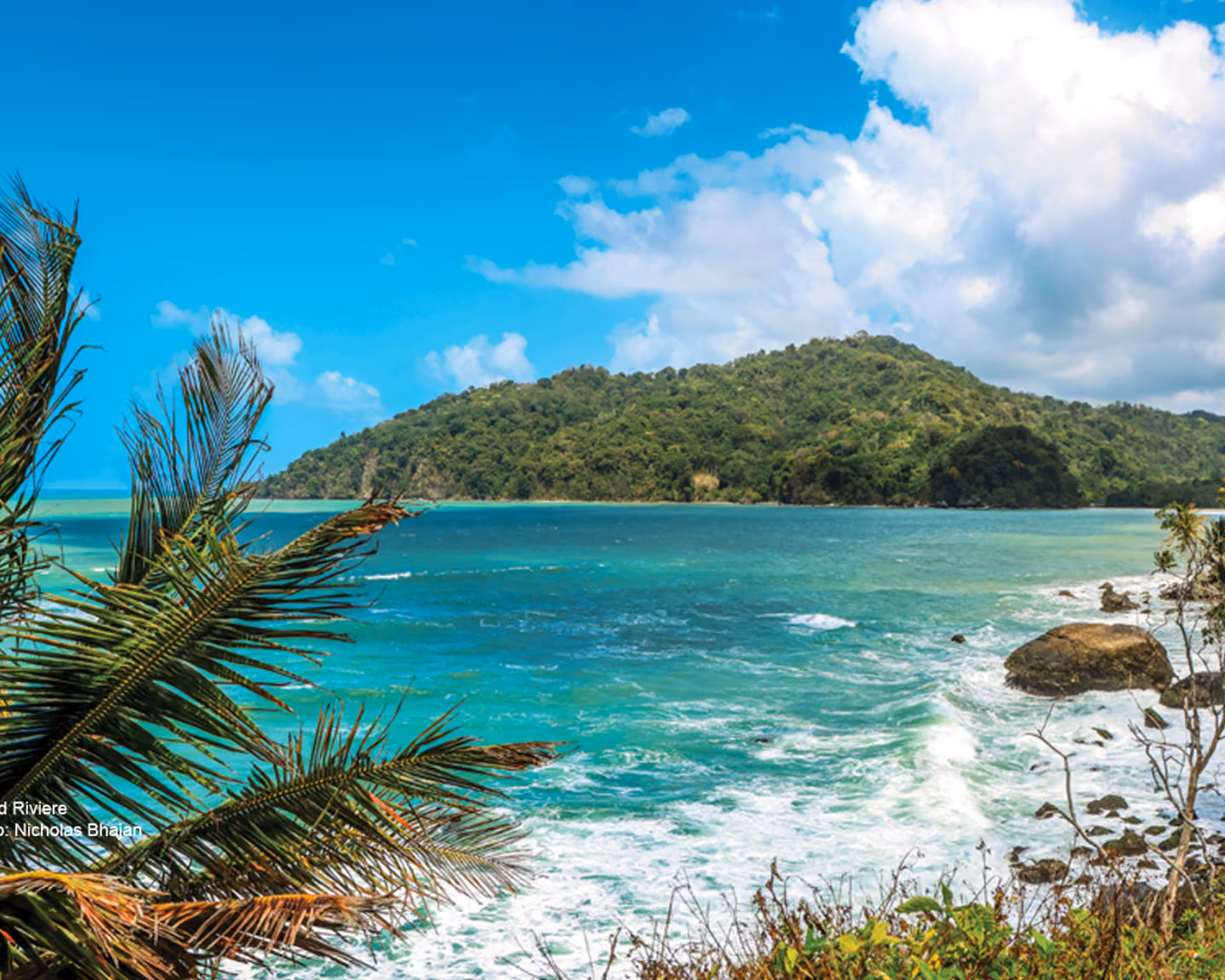 Grand Riviere, Toco, Trinidad (Photo: Nicholas Bhajan)